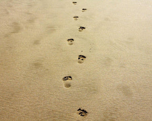 Courir pieds nus ou avec des chaussures minimalistes - ce que tu dois savoir !