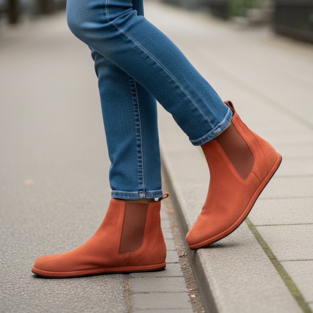 Terra de capitaux propres